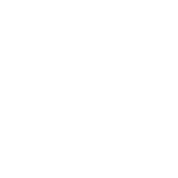 数字动画